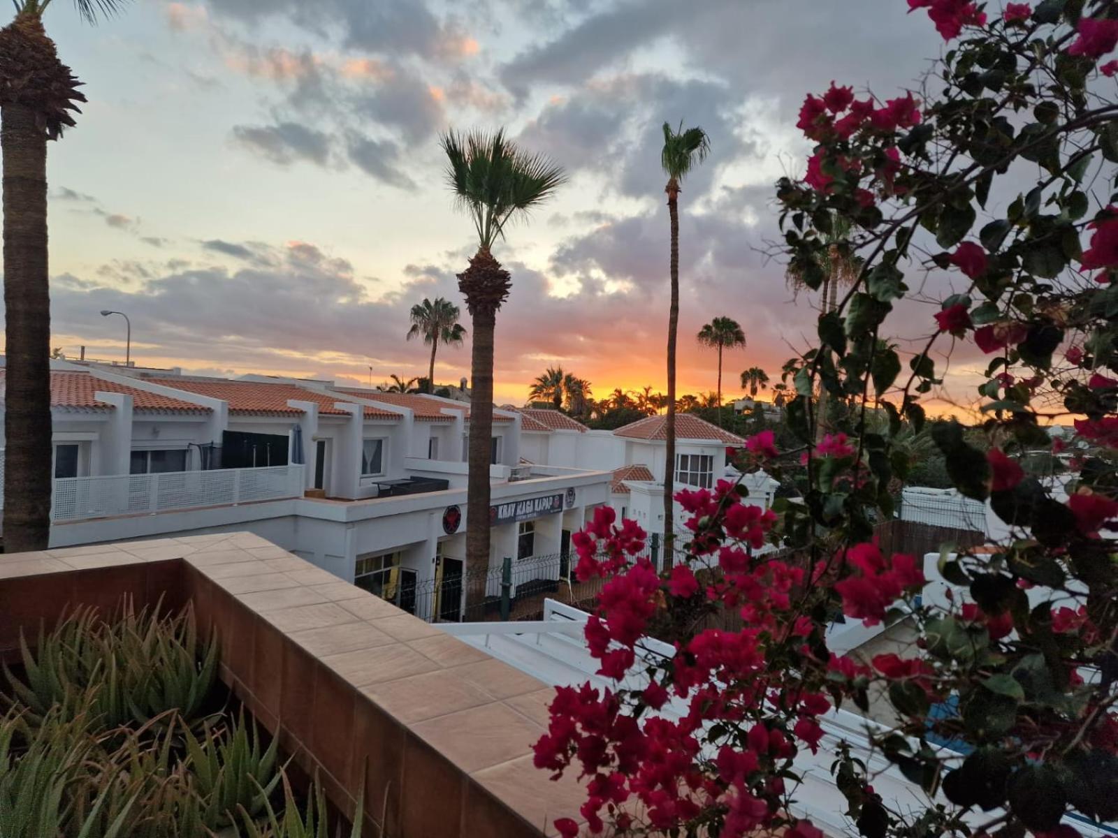 Apartment In The Garden Costa Adeje (Tenerife)